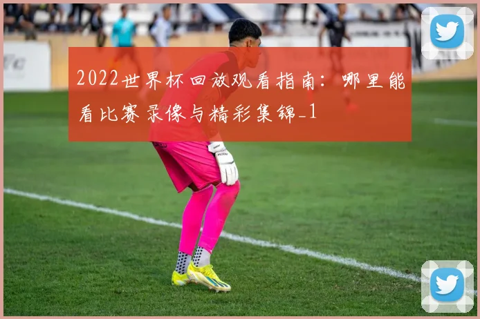 2022世界杯回放观看指南:哪里能看比赛录像与精彩集锦_1
