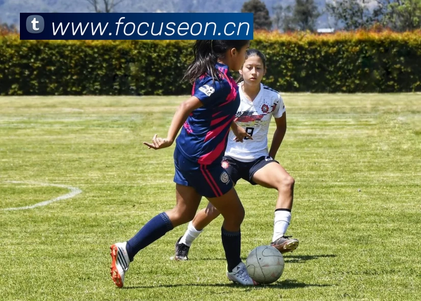 App Interface Preview